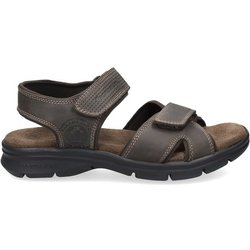 Sandalen Panama Jack Sanders Basics C1