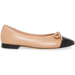 Ballerinas Frau Steve Madden Ellison