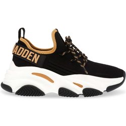 Sneakers für Frauen Steve Madden Protégé-E