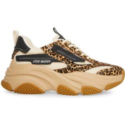 Sneakers Steve Madden PossessionL-E