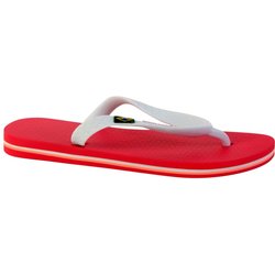 Flip-Flops Kind Ipanema Clas Brasil II