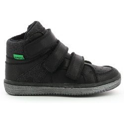 Sneakers für Babies Kickers lohan