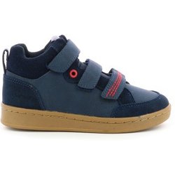 Sneakers Kickers bilbon