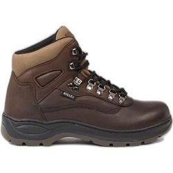 Westernstiefel für Damen Ariat Anthem Round Toe II