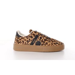 Sneakers Blackstone Quartz Auden