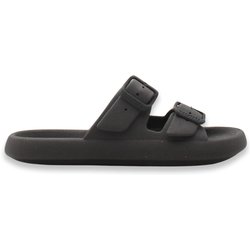 Slides Cacatoès Jessy Classic