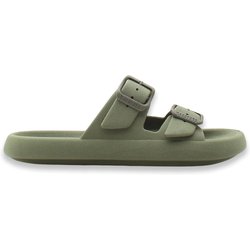 Slides Cacatoès Jessy Classic