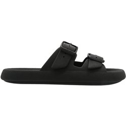 Slides Cacatoès Jessy Classic