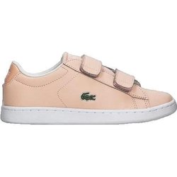 Sneakers für Babys Lacoste Carnaby Evo Strap