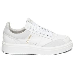 Sneakers Steve Madden Flint