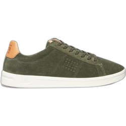 Sneakers TBS Flauber