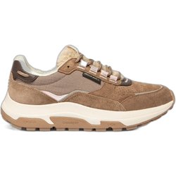 Sneakers TBS Jazonne
