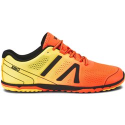Laufschuhe Xero Shoes HFS II