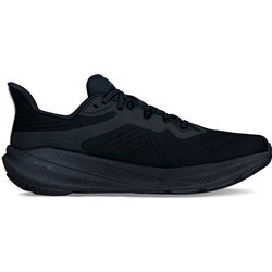 Laufschuhe Altra Experience Flow 2