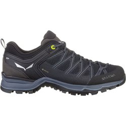 Wanderschuhe Salewa Mtn Trainer Lite Gtx