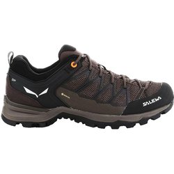 Wanderschuhe Salewa Mtn Lite
