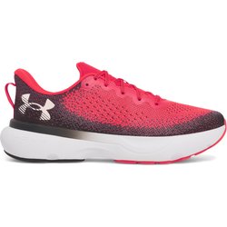 Laufschuhe Under Armour Infinite