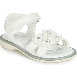 Chicco Sandalen CETRA