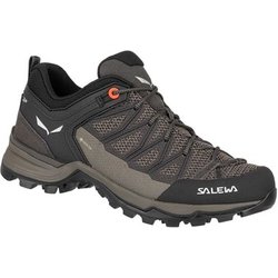 Salewa  Damenschuhe Mtn Trainer Lite Gtx