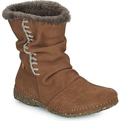 El Naturalista Damenstiefel ANGKOR
