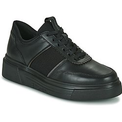 Stonefly Sneaker ALLEGRA 8