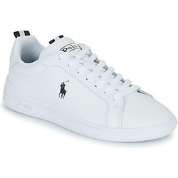 Polo Ralph Lauren Sneaker HRT CT II-SNEAKERS-LOW TOP LACE
