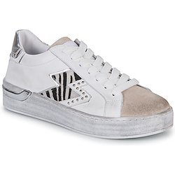 Café Noir Sneaker DS1616-S022