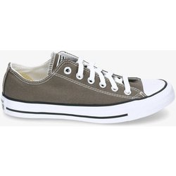 Converse  Sneaker CTAS SEASONAL OX