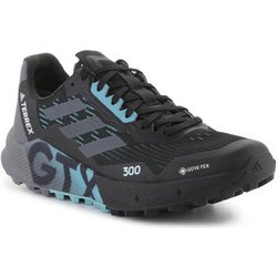 adidas Herrenschuhe Adidas Terrex Agravic Flow 2 GTX H03382