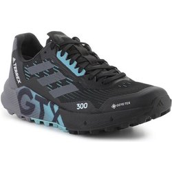 adidas Herrenschuhe Terrex Agravic Flow 2 Gtx