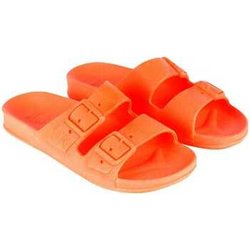 Cacatoès Sandalen Bahia