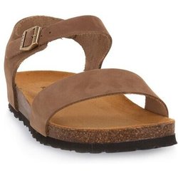 Frau  Sandalen Nabuk Sabbia