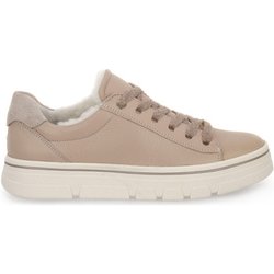 Ara Schuhe CERVO CALF