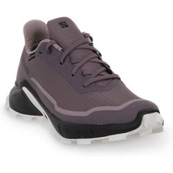Salomon Herrenschuhe Alphacross 5 Gtx