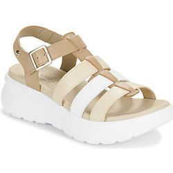 Panama Jack Sandalen NAILA COLORS B1