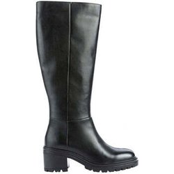 Geox Stiefeletten -