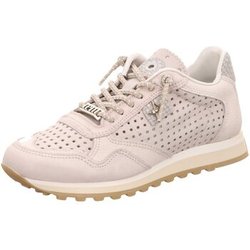 Cetti Sneaker C848-SRA-Used tin caliza