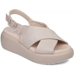 CallagHan Pumps San Remo 33601 Blanco