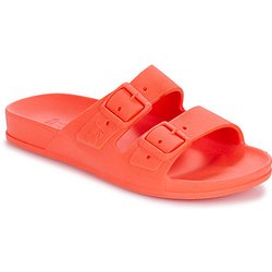 Cacatoès Pantoffeln RIO DE JANEIRO