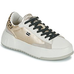 D.Franklin Sneaker COURT 321