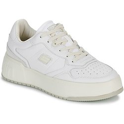 D.Franklin Sneaker COURT 321