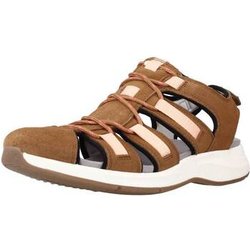 Clarks Sandalen SOLAN SAIL COMBI