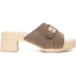 Scholl Clogs PESCURA SARAH BEIGE SDETE