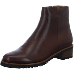 Everybody Stiefel Stiefeletten 11654U3254-GL371-gianduia