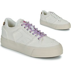 Faguo Sneaker WALNUT PLATFORM