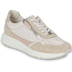 TBS Sneaker BLONZIP