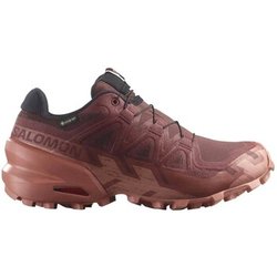 Salomon Herrenschuhe Speedcross 6 Gtx Gore-tex