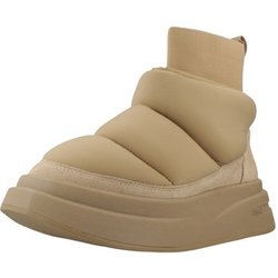 Ash  Stiefel INDOOR