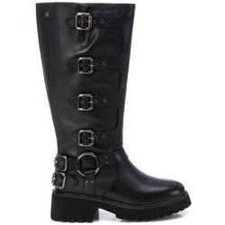 Carmela Stiefel 16192901