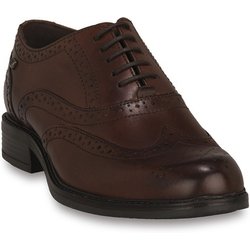 Valleverde Damenschuhe MARRONE